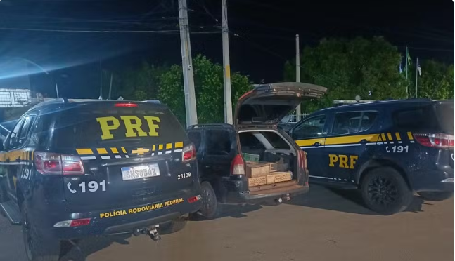 Cerca de 250 aves silvestres são resgatadas em fiscalização da PRF na BR-116