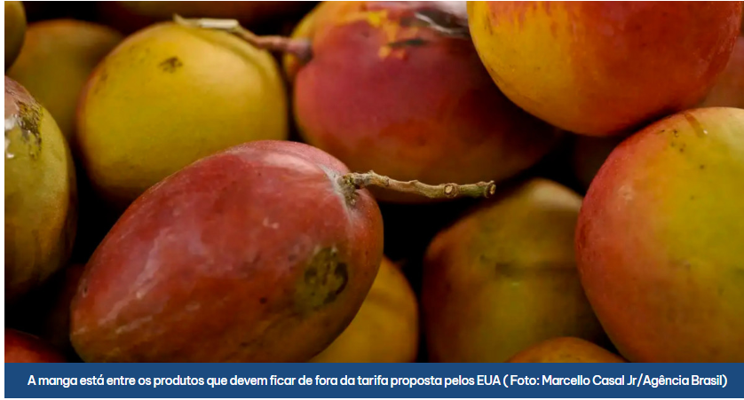 Primeiro trimestre de 2026 exportações brasileiras de frutas registraram crescimento de 25%