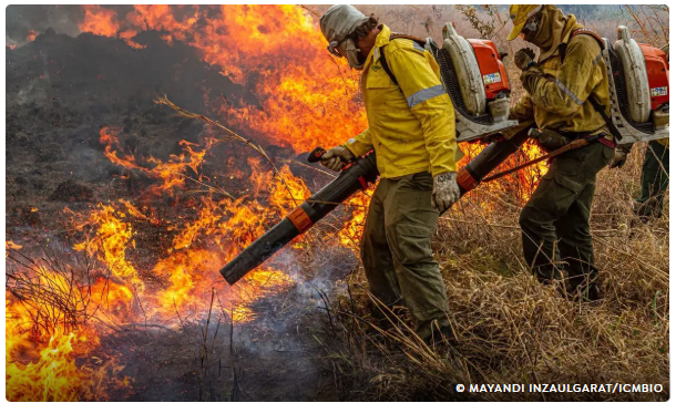Ibama e ICMBio recebem recursos para combate a incêndios e desmatamento 