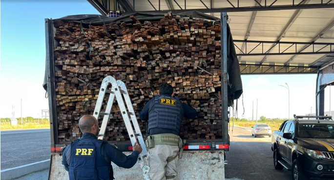 PRF apreende madeira e resgata aves silvestres no Sertão