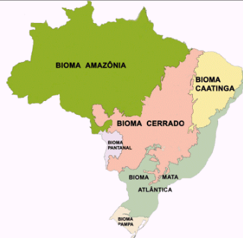 Formação digital quer preparar líderes comunitários de cada bioma