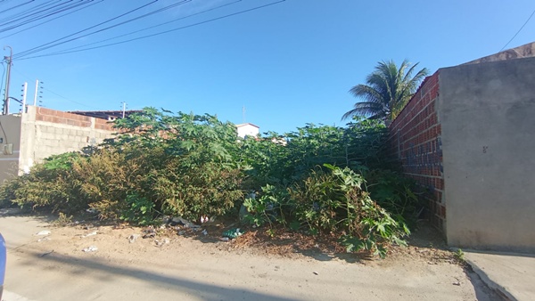 Terrenos abandonados podem gerar multas de até R$ 100 mil em Petrolina