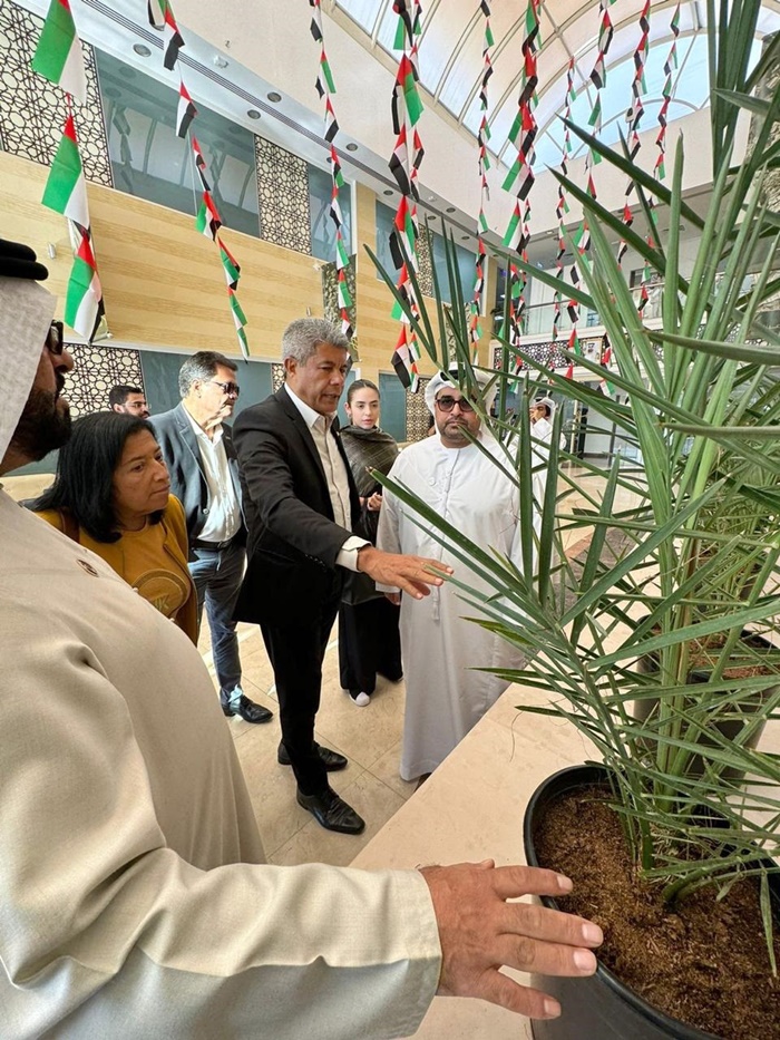 Nos Emirados Árabes, governador Jerônimo visita plantação de tâmaras que poderão ser produzidas na Bahia 