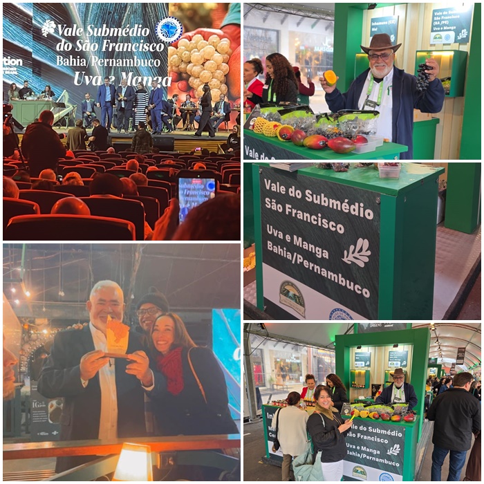 Manga e UVa de Juazeiro ganham destaque no Connetction Terroires do Brasil, em Gramado-RS