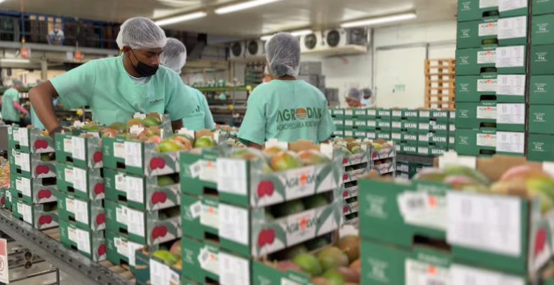Frutas de Juazeiro, Casa Nova, Petrolina, Lagoa Grande, Santa Maria da Boa Vista ganham destaque no mercado do Espírito Santo