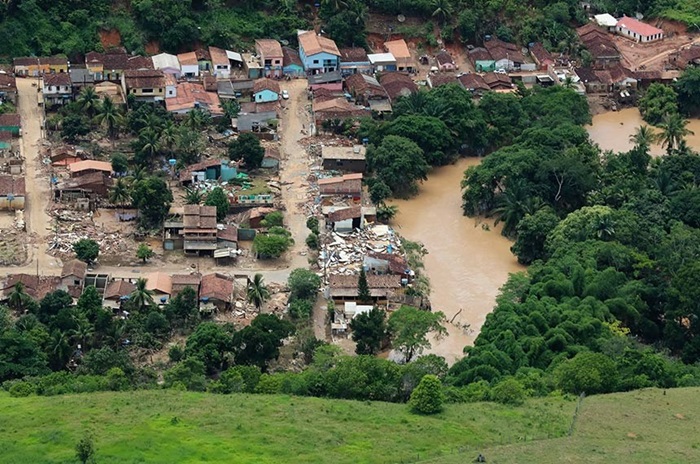 Lavouras perdidas, rebanhos sem pastos: confira impactos das enchentes no sul da Bahia