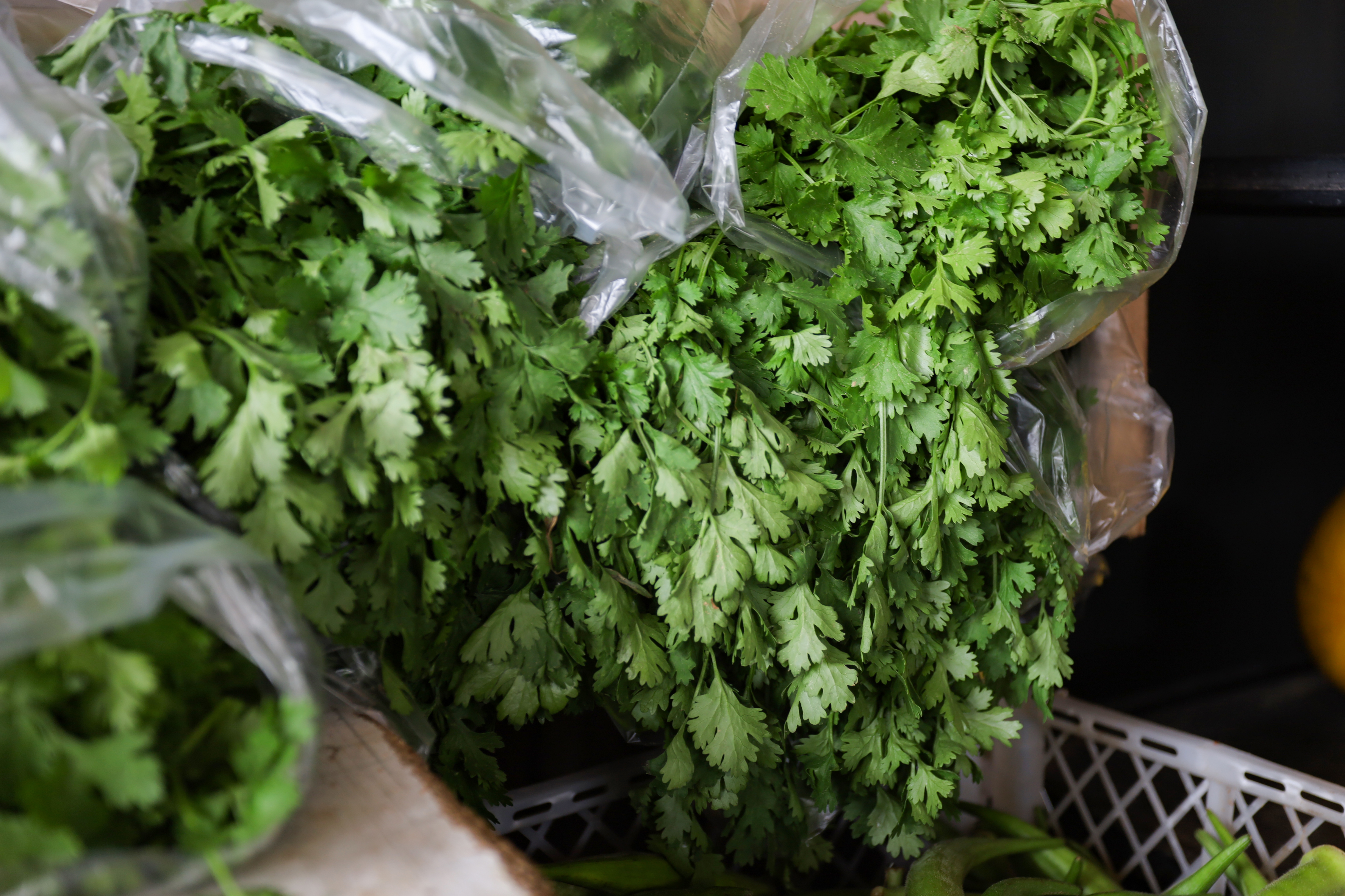 AMA divulga cotação de hortifrutigranjeiros comercializados no Mercado do Produtor nesta segunda (06)