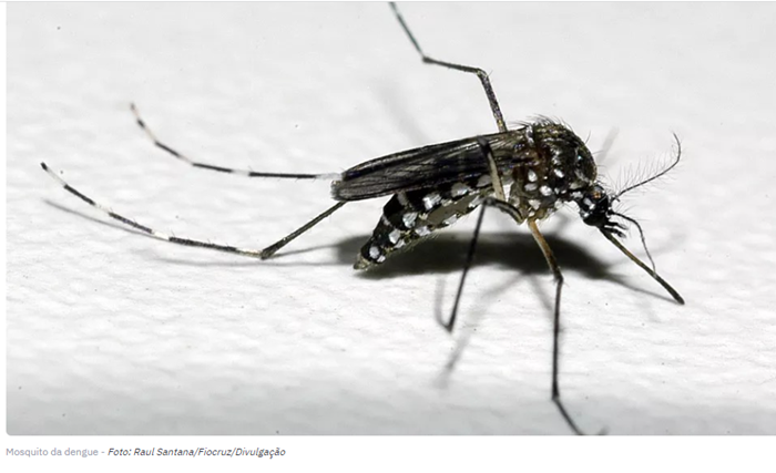  Lacen identifica novos casos da dengue com sorotipo não registrado há mais de 15 anos