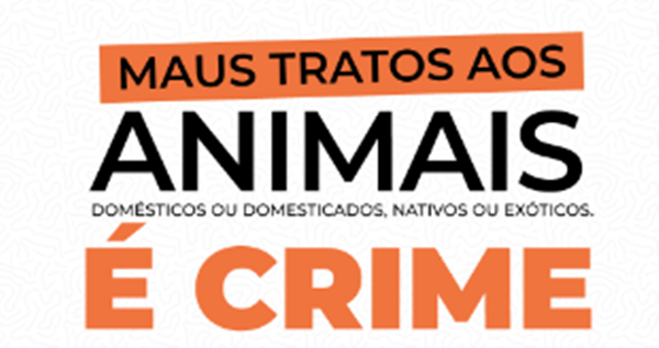 Crime Organizado: CMA aprova aumento da pena para crimes contra animais silvestres e domésticos