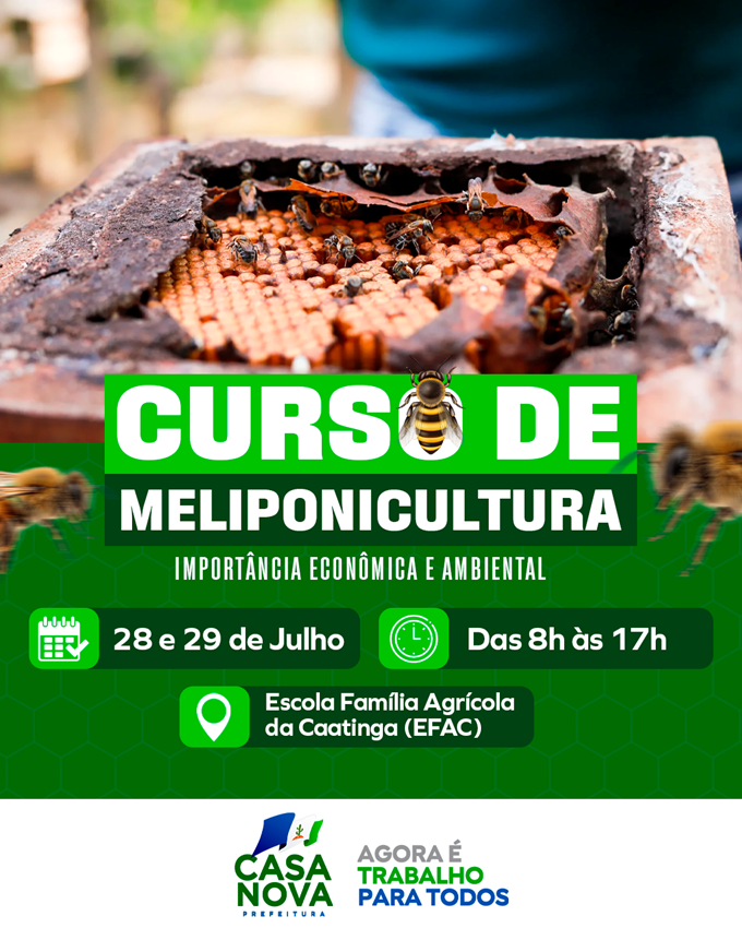 Prefeitura de Casa Nova fortalece produção de mel e preservação de abelhas nativas com curso gratuito de meliponicultura