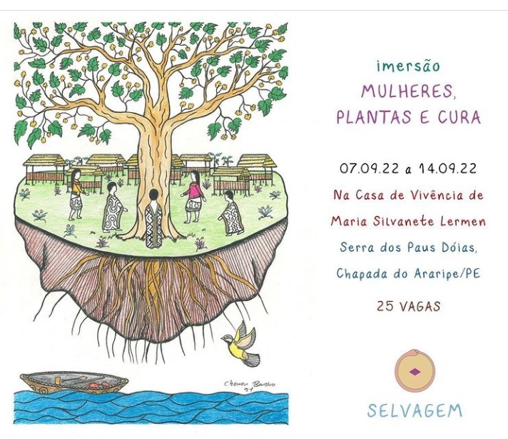 II Ciclo de Estudos Selvagem-Mulheres, Plantas e Cura será realizado na Serra dos Paus Doias, em Exu Pernambuco