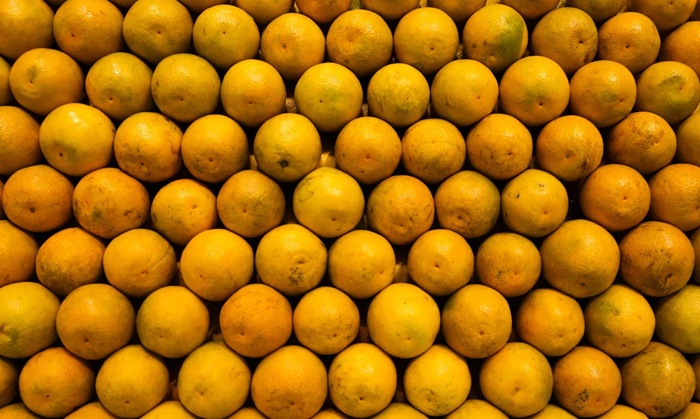 ApexBrasil vai qualificar produtores e empresas para exportar frutas. Programa foi lançado hoje em Juazeiro, na Bahia